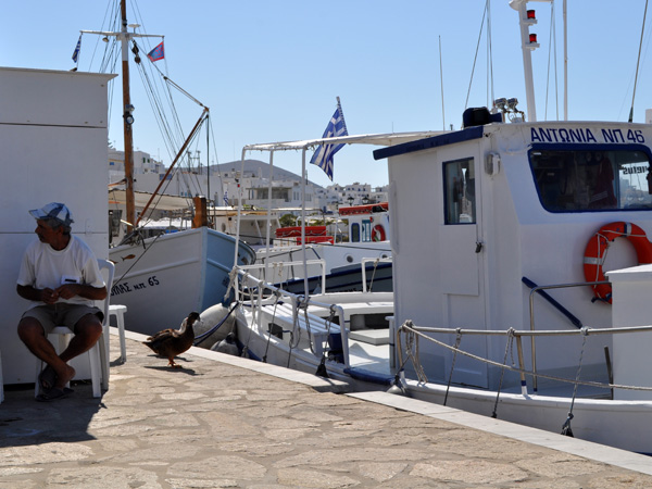 Aspects de Paros, Cyclades: Naoussa, septembre 2011.