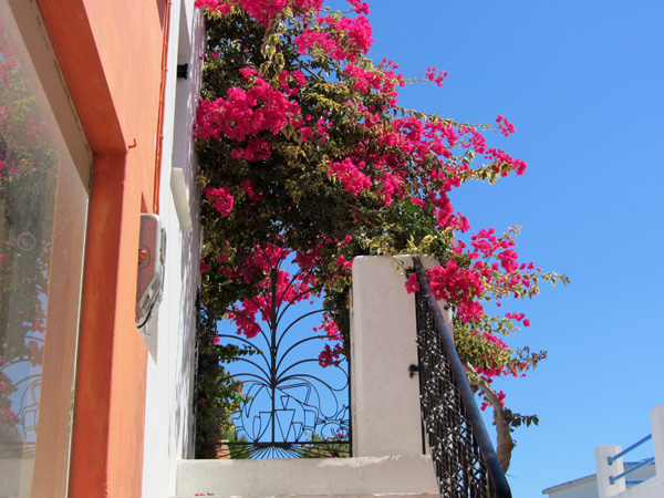 Aspects de Paros: Lefkes, septembre 2011.