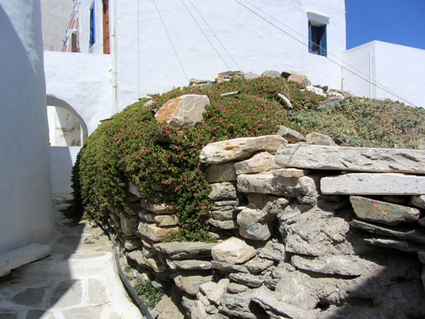 Aspects de Sifnos, une île peu connue des Cyclades, dont la gastronomie est très réputée. Septembre 2011.