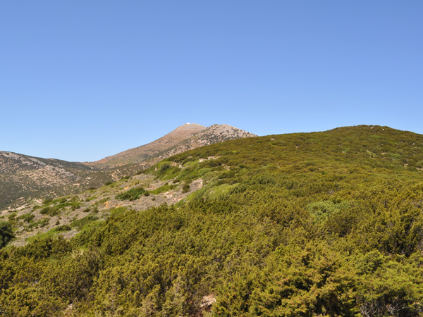 Aspects de Sifnos, une île peu connue des Cyclades, dont la gastronomie est très réputée. Septembre 2011.