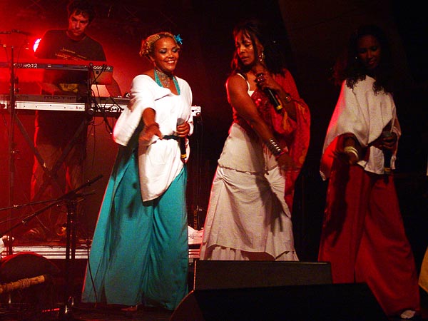 L'urban ethnic soul de Zap Mama rencontre Etran Finatawa, le blues des nomades du désert, au World Music Festival d'Oron, dimanche 31 juillet 2005.