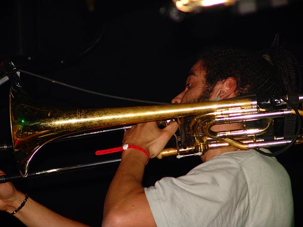 Les Caméléons, Ned - Montreux Music Club, Ska-Rock Night, samedi 22 avril 2006.