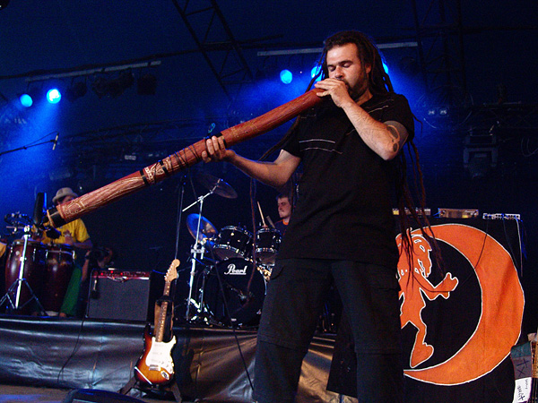 Paléo Festival 2008: Moonraisers, jeudi 24 juillet 2008, Chapiteau.