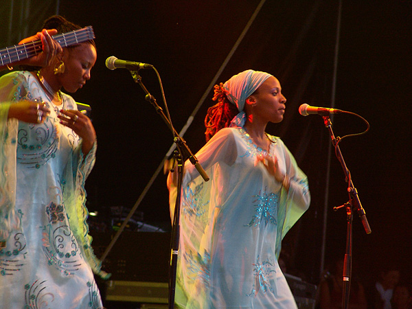 Paléo Festival 2008: Tiken Jah Fakoly, jeudi 24 juillet 2008, Grande Scène.