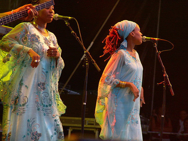 Paléo Festival 2008: Tiken Jah Fakoly, jeudi 24 juillet 2008, Grande Scène.