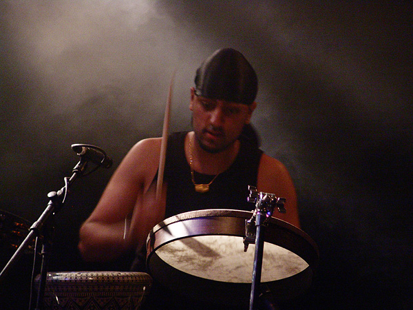 Paléo Festival 2008: Firewater, jeudi 24 juillet 2008, Club Tent.