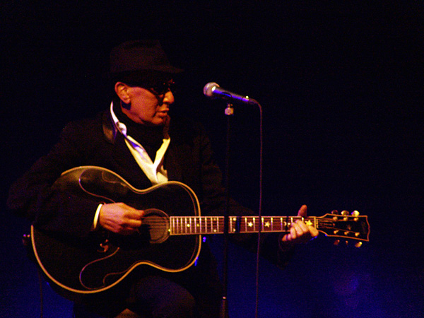 Paléo Festival 2008: Alain Bashung, samedi 26 juillet 2008, Chapiteau.