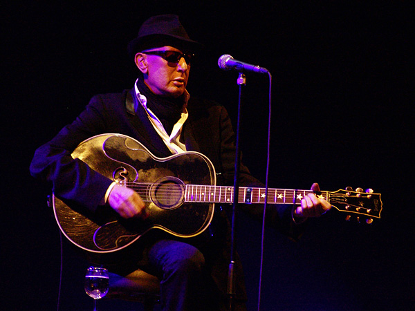 Paléo Festival 2008: Alain Bashung, samedi 26 juillet 2008, Chapiteau.