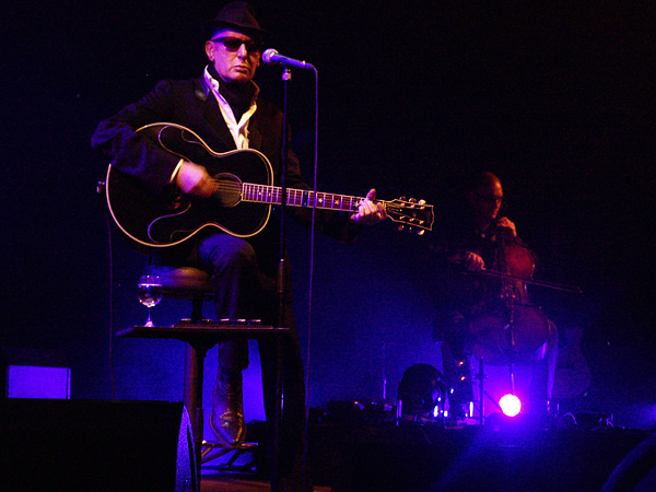 Paléo Festival 2008: Alain Bashung, samedi 26 juillet 2008, Chapiteau.