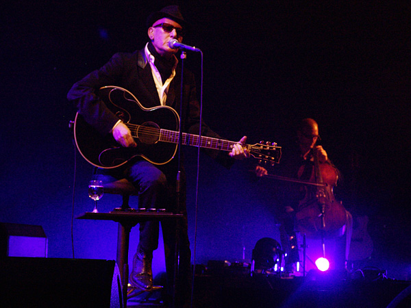 Paléo Festival 2008: Alain Bashung, samedi 26 juillet 2008, Chapiteau.