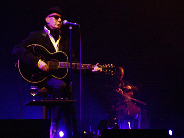 Paléo Festival 2008: Alain Bashung, samedi 26 juillet 2008, Chapiteau.