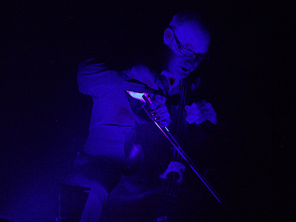 Paléo Festival 2008: Alain Bashung, samedi 26 juillet 2008, Chapiteau.