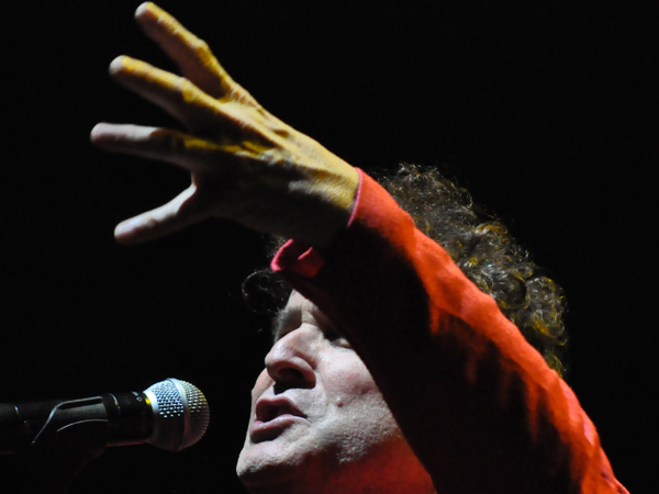 Paléo Festival 2010, Nyon: Johnny Clegg, July 22, Grande Scène.