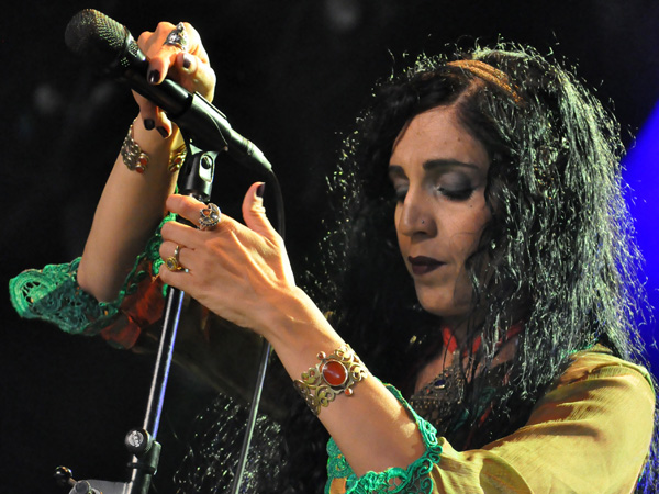 Paléo Festival 2012, Nyon: Niyaz, July 20, Dôme.