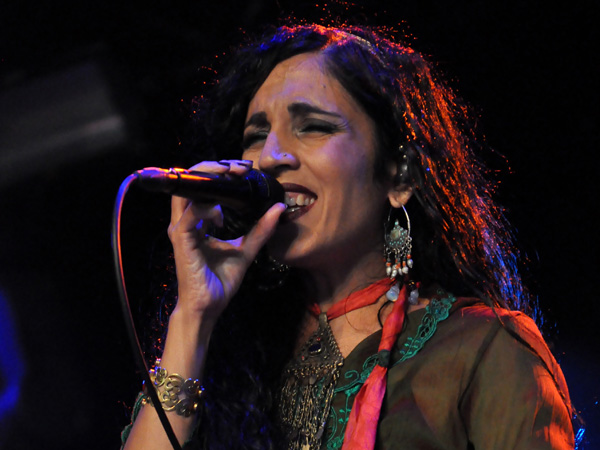 Paléo Festival 2012, Nyon: Niyaz, July 20, Dôme.