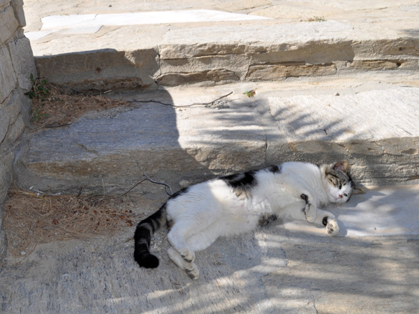 Parc Environnemental et Culturel de Paros, péninsule dAgios Ioannis Detis (au nord-ouest de la baie de Naoussa), avril 2013.