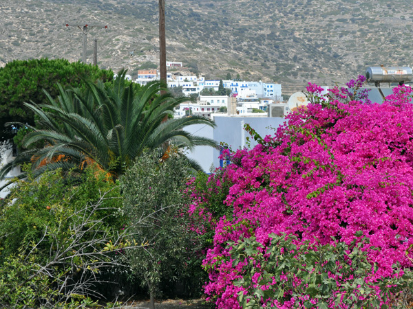 Katapola, Amorgos (Cyclades), août 2013.