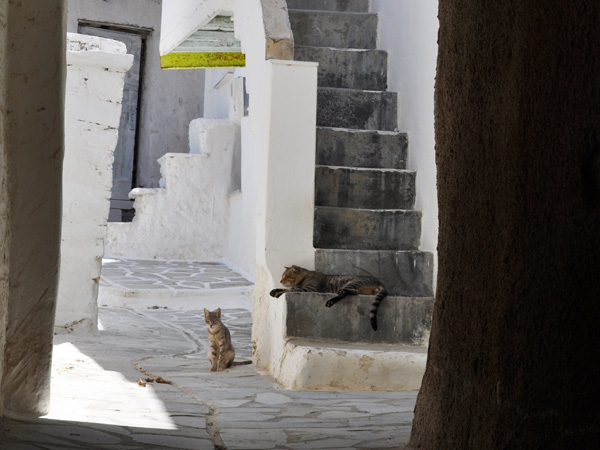 Chora, Naxos, septembre 2013.