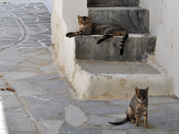 Chora, Naxos, septembre 2013.