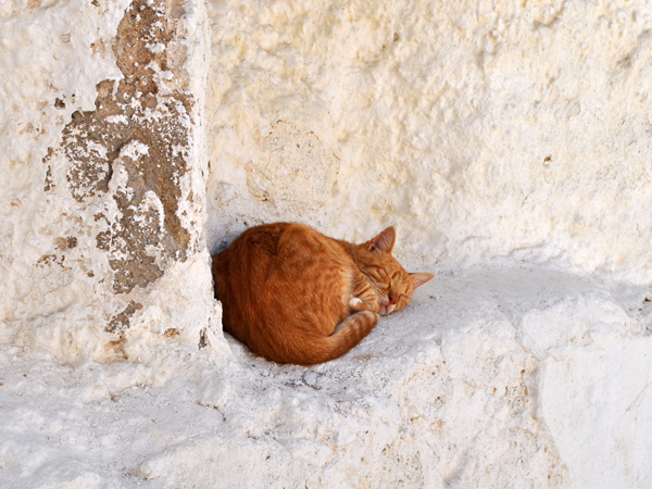 Chora, Naxos, septembre 2013.