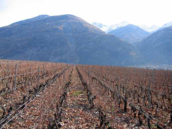 Paysage d'automne près de Chamoson, au Valais.