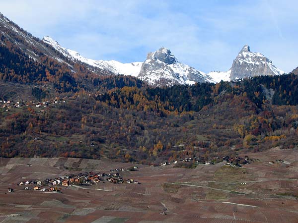 Paysage d'automne au Valais, près de Leytron.